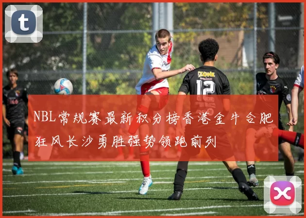 NBL常规赛最新积分榜香港金牛合肥狂风长沙勇胜强势领跑前列